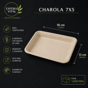 Charola Rectangular 7x5