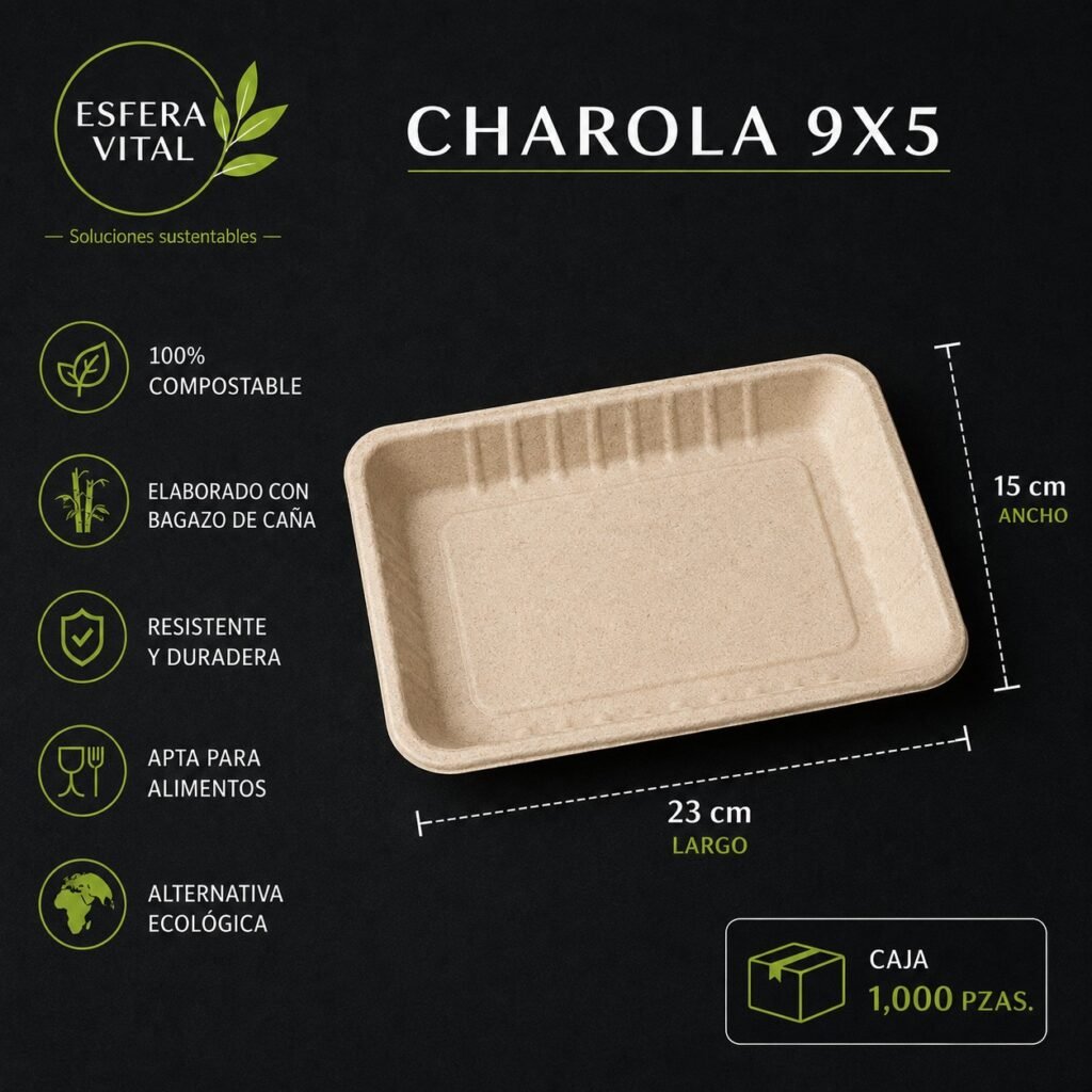 Charola Rectangular 9x5