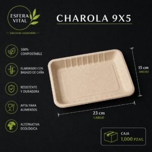 Charola Rectangular 9x5